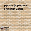   -     Feldhaus Vascu